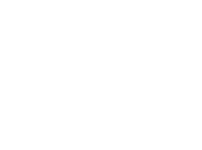 icono de cámara fotográfica en blanco