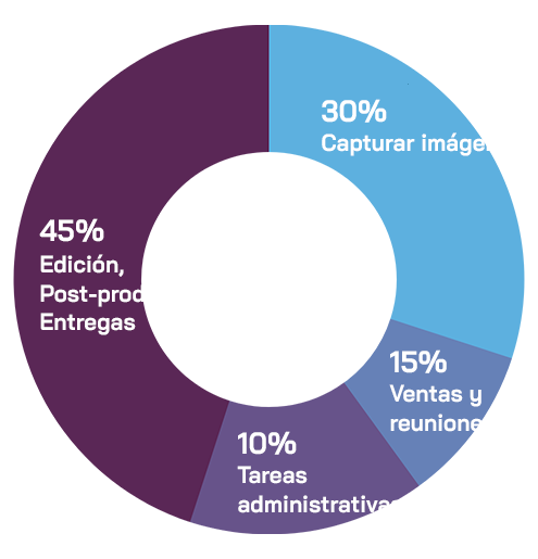 grafismo de circulo con datos del sistema de trabajo sin omniqo