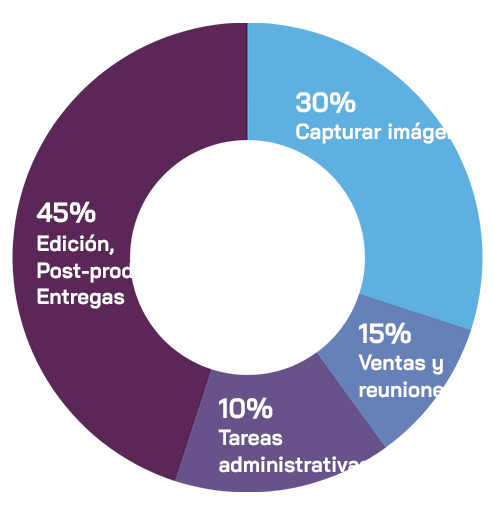 grafismo de circulo con datos del sistema de trabajo sin omniqo